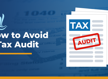 AVOID TAX AUDITS